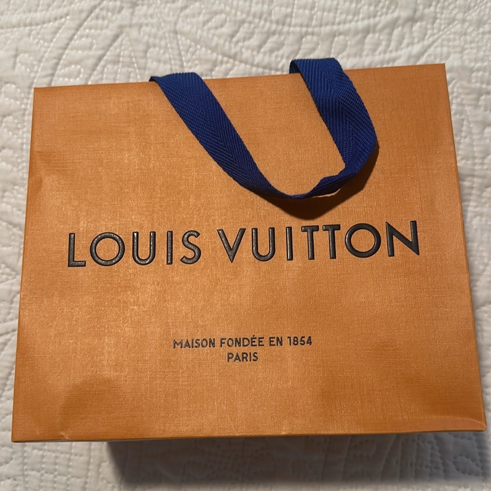 Louis Vuitton shop bag